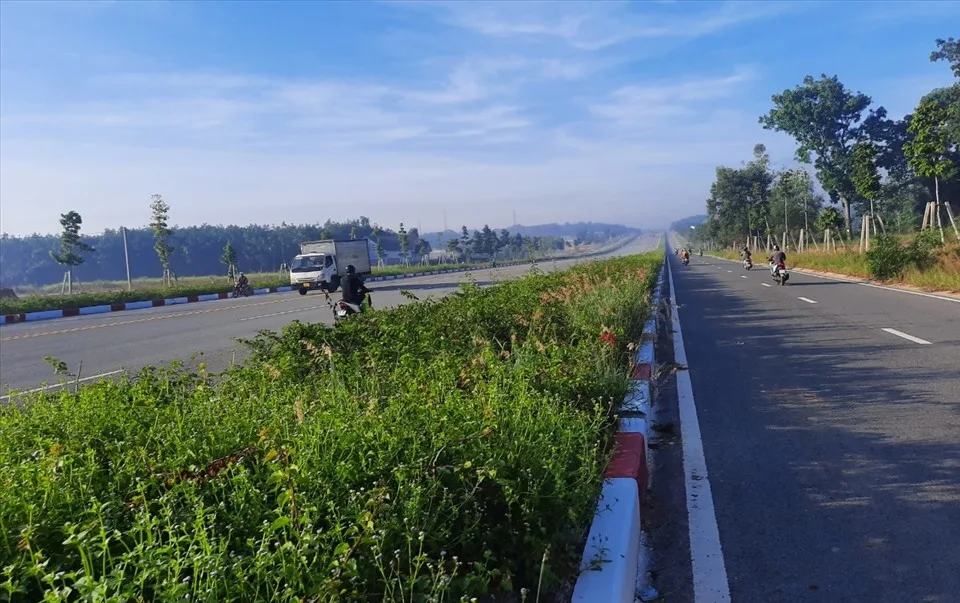 My Phuoc Tan Van 8
