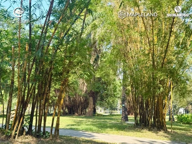 MapleLand & SunLand: Chuyến Đi 2N1Đ Tại Eco Park Hưng Yên 16 sitetour eco park 7