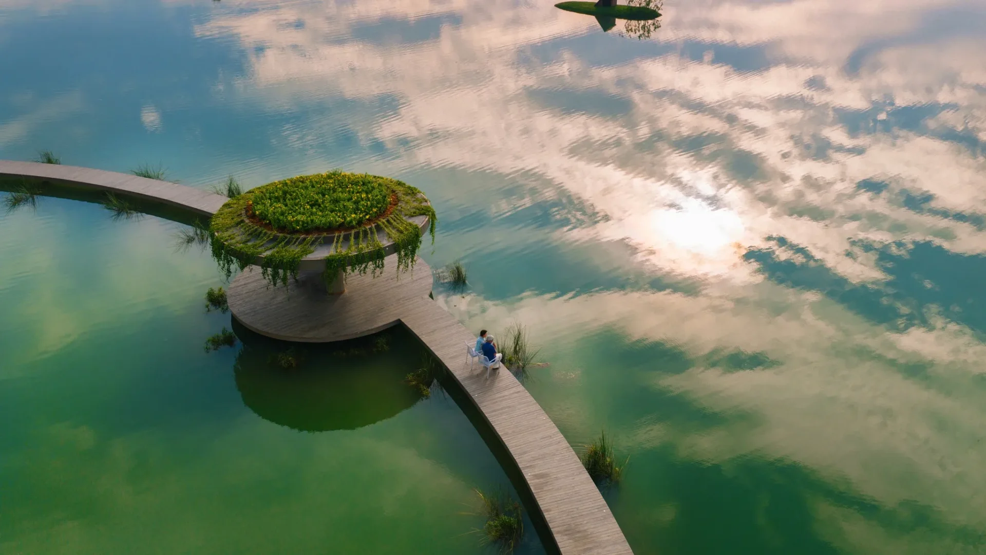 499671188 122127789548780682 8390795571523234574 n 11zon scaled