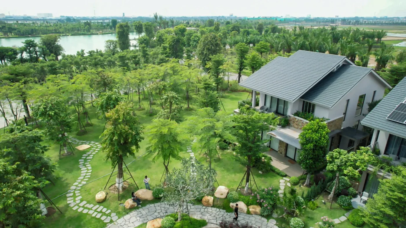 Rừng là nhà, liệu pháp thiên nhiên