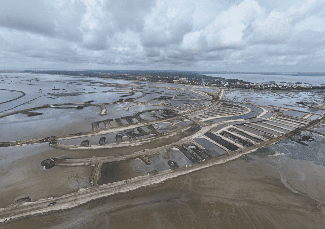 Cập Nhật Tiến Độ Vinhomes Cần Giờ (11/2025): Bí Thư TPHCM Yêu Cầu "Đẩy Nhanh Thi Công" Siêu Đô Thị 2.870ha 10 Công nhân hối hả thi công hạ tầng nội bộ tại Vinhomes Green Paradise Cần Giờ