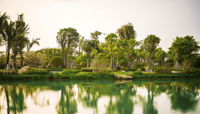 Trải nghiệm tắm rừng Shinrin Yoku tại biệt thự rừng Retreat Forest