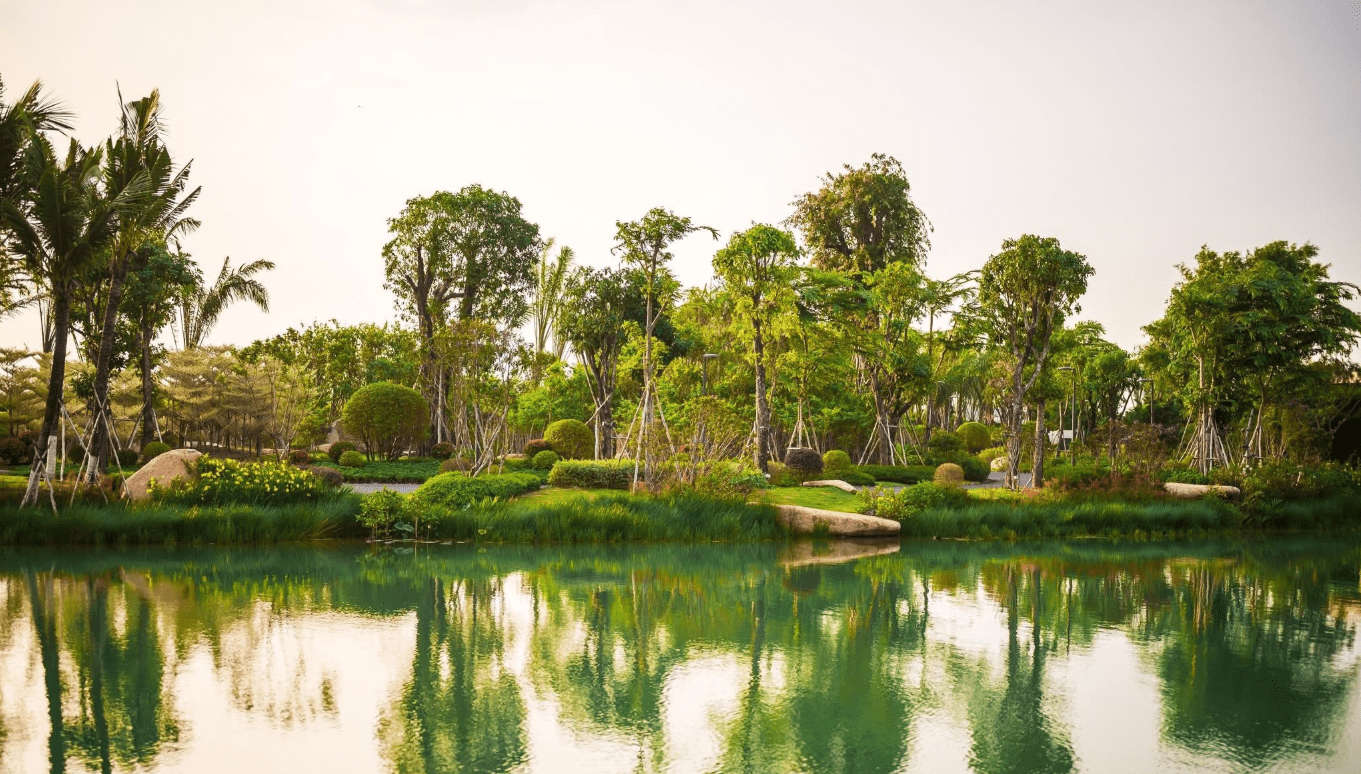 Retreat Forest – Dấu ấn 22 năm phát triển đô thị sinh thái của Ecopark 11 Trải nghiệm tắm rừng Shinrin Yoku tại biệt thự rừng Retreat Forest