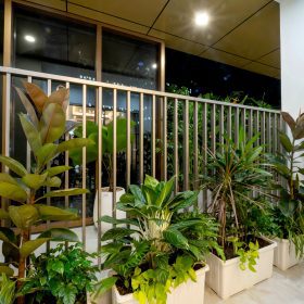 Thiết kế căn hộ 2 phòng ngủ Happy One Mori