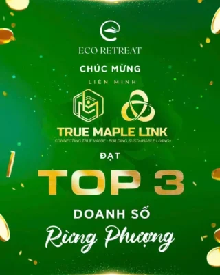 Liên minh True Maple Link đạt Top 3 doanh số phân khu Rừng Phượng – Eco Retreat